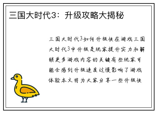 三国大时代3：升级攻略大揭秘