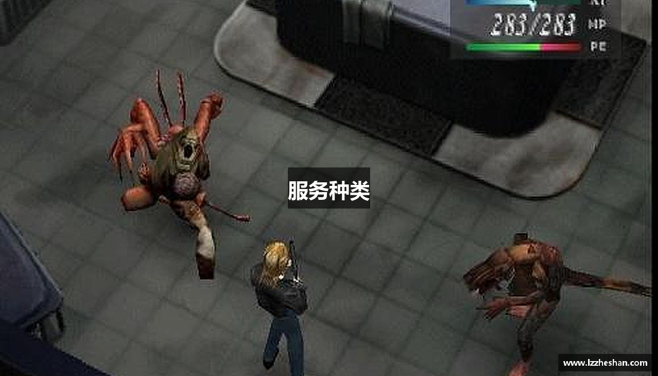 服务种类
